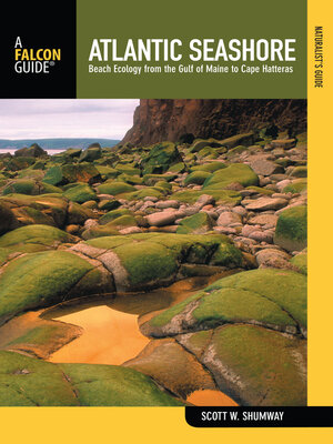 cover image of Naturalist's Guide to the Atlantic Seashore